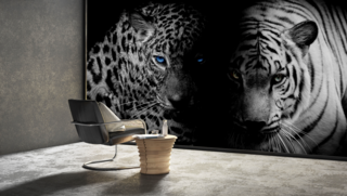 Ein Zimmer ziert ein großes Wandgemälde mit einem schwarzen Panther mit blauen Augen und einem weißen Tiger. Ein schwarzer Stuhl mit einem hölzernen Beistelltisch, auf dem ein Buch und eine Kaffeetasse liegen, schafft davor eine gemütliche Leseecke.